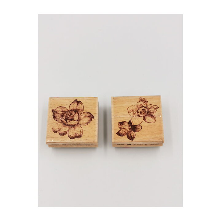 My Mind's Eye  Rubber Stamps- Floral & Petal