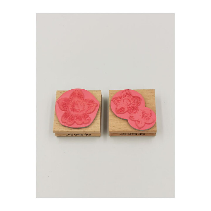 My Mind's Eye  Rubber Stamps- Floral & Petal