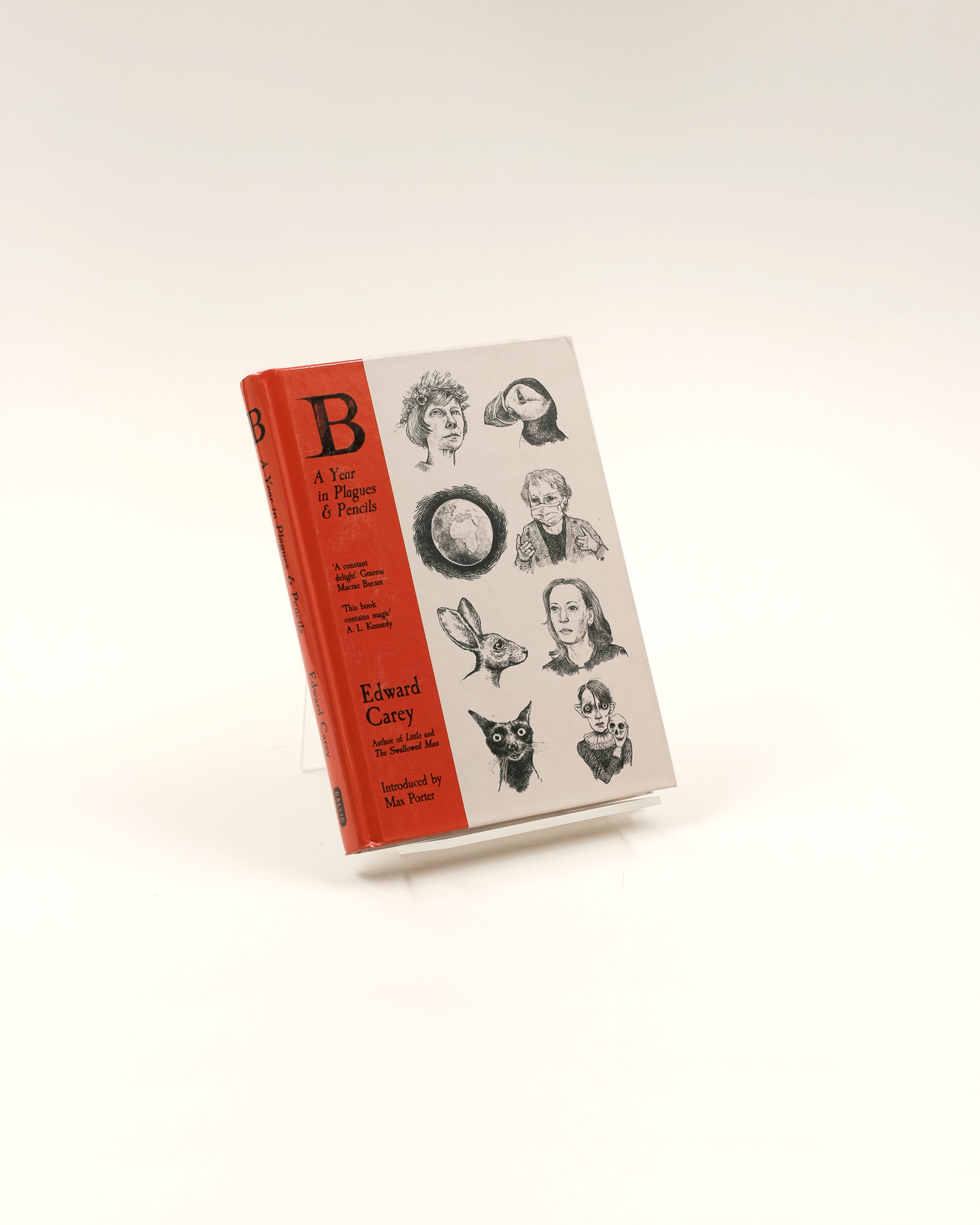Carey, B: A Year in Plagues and Pencils
