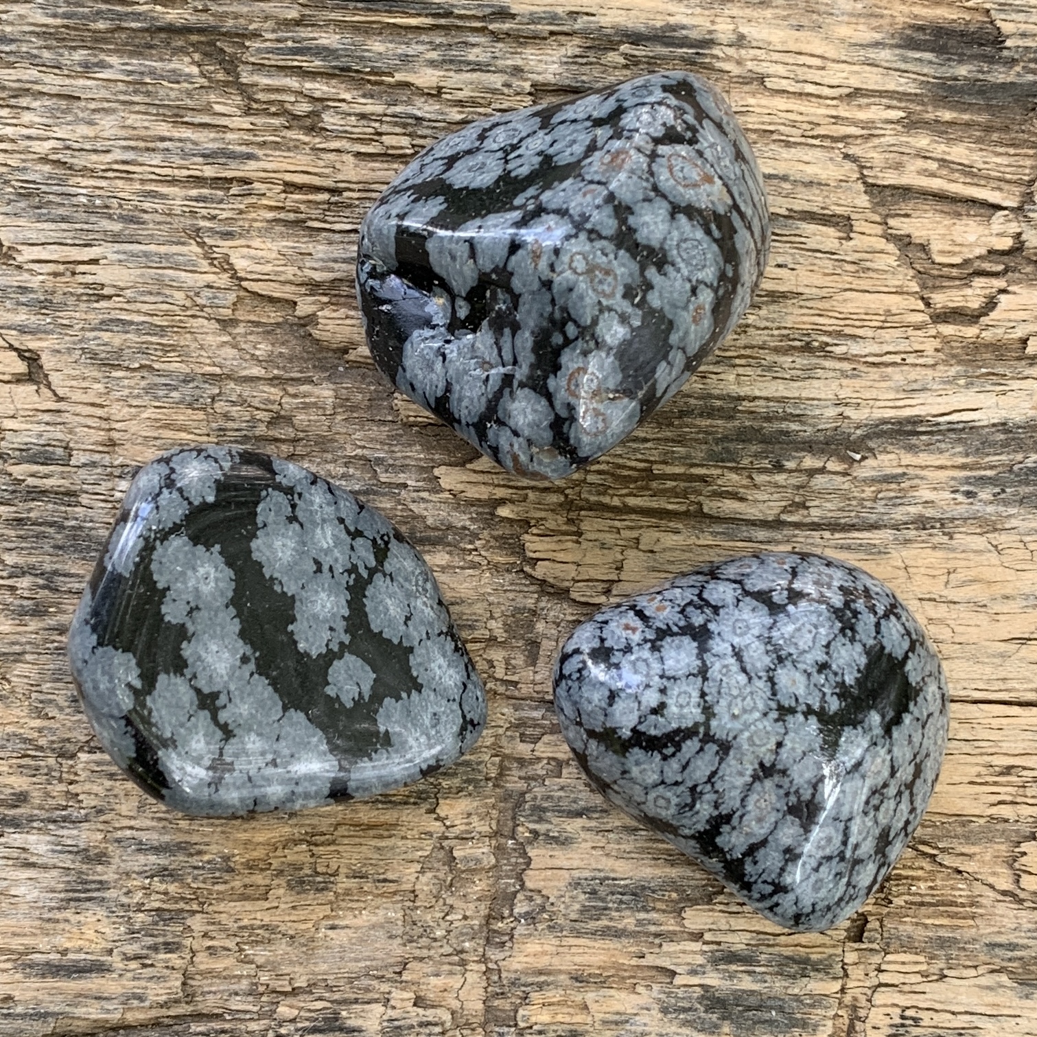 Snöflingeobsidian - Stor