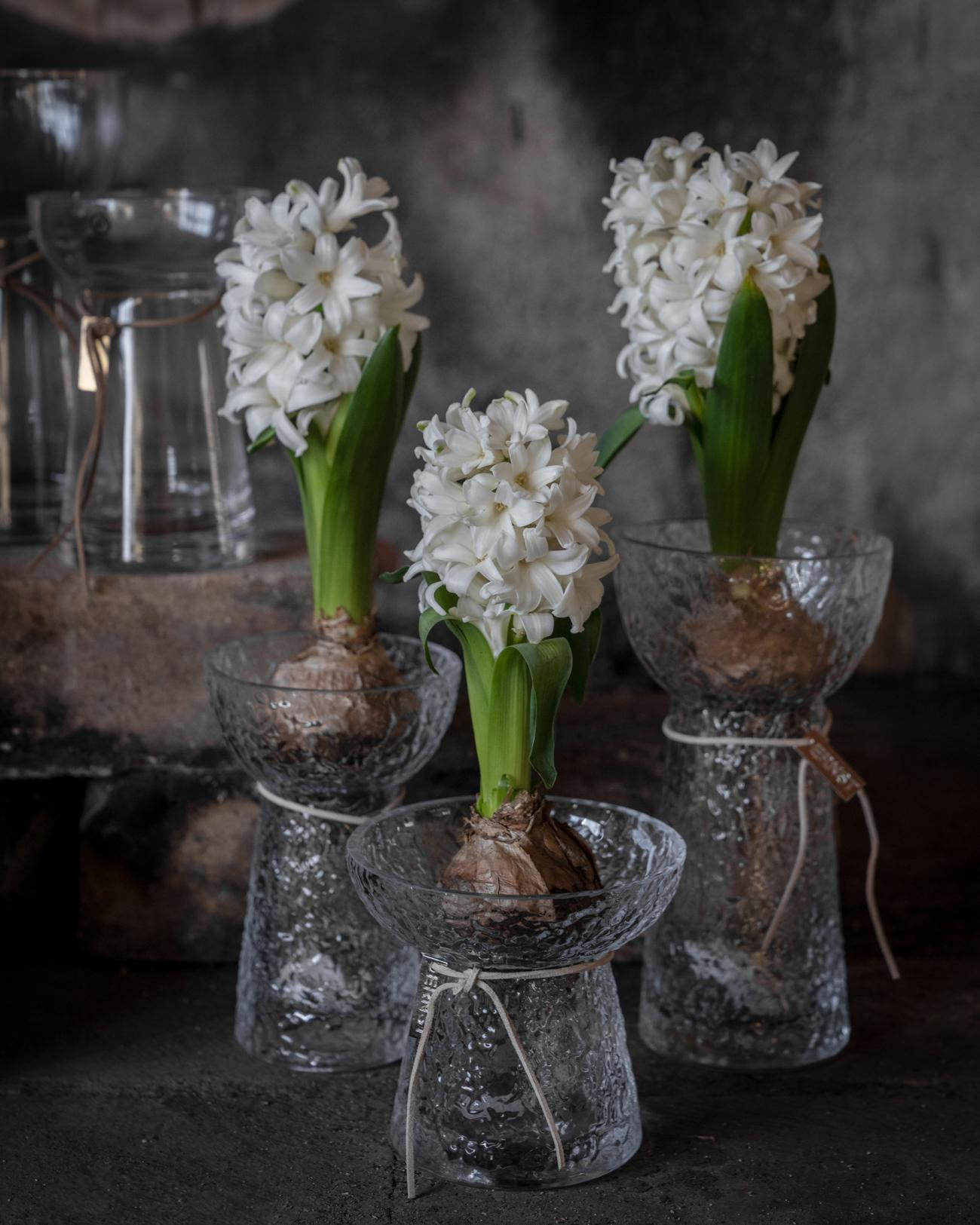 Ernst Lökvas - Hyacinth vase - Low - Patterned - 12