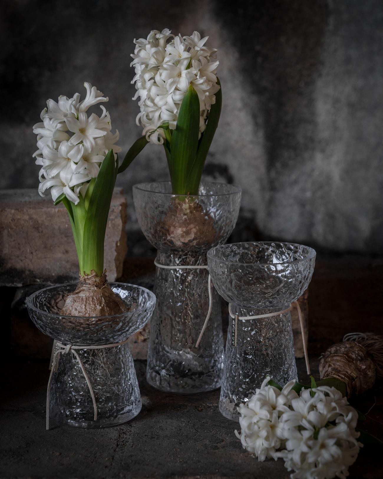 Ernst Lökvas - Hyacinth vase - Low - Patterned - 13