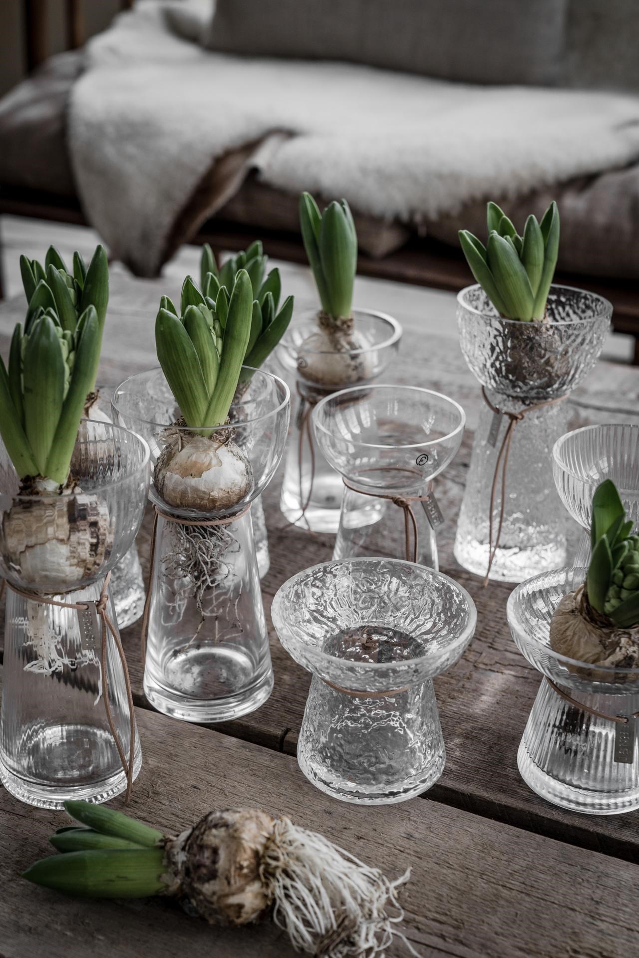 Ernst Lökvas - Hyacinth vase - Low - Fluted - 8