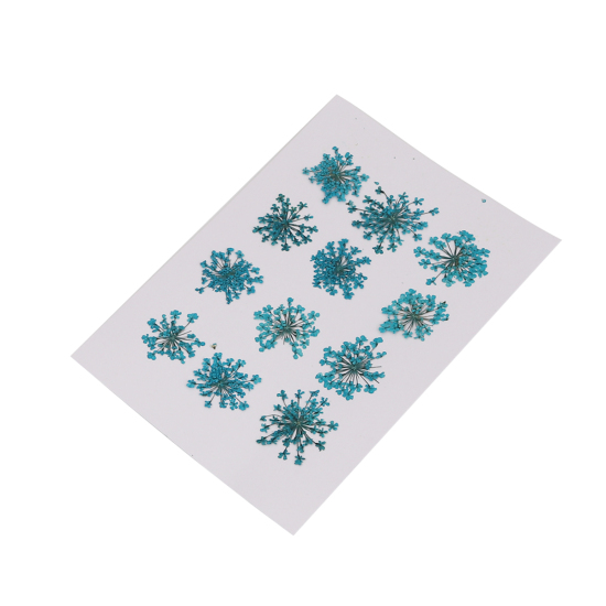 Dekoration till Resin -  Torkade blommor, Teal