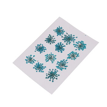 Dekoration till Resin -  Torkade blommor, Teal