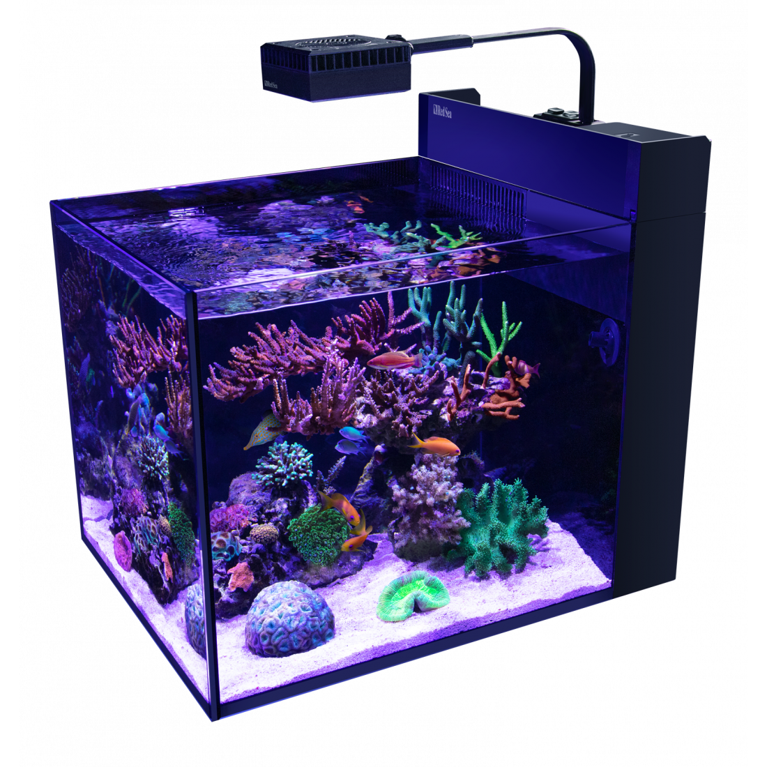 Red Sea Nano Komplett plug & play saltvattensakvarium - 3