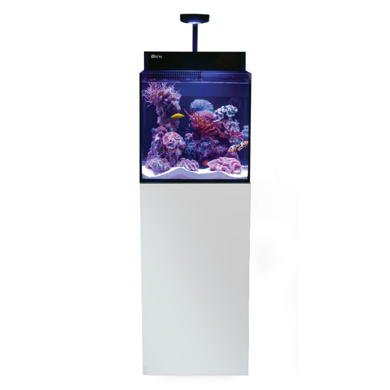 Red Sea Nano Komplett plug & play saltvattensakvarium - 8