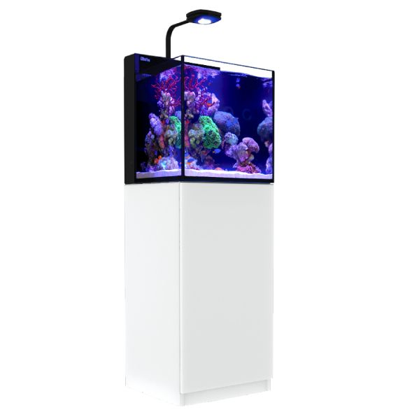 Red Sea Nano Komplett plug & play saltvattensakvarium - 7