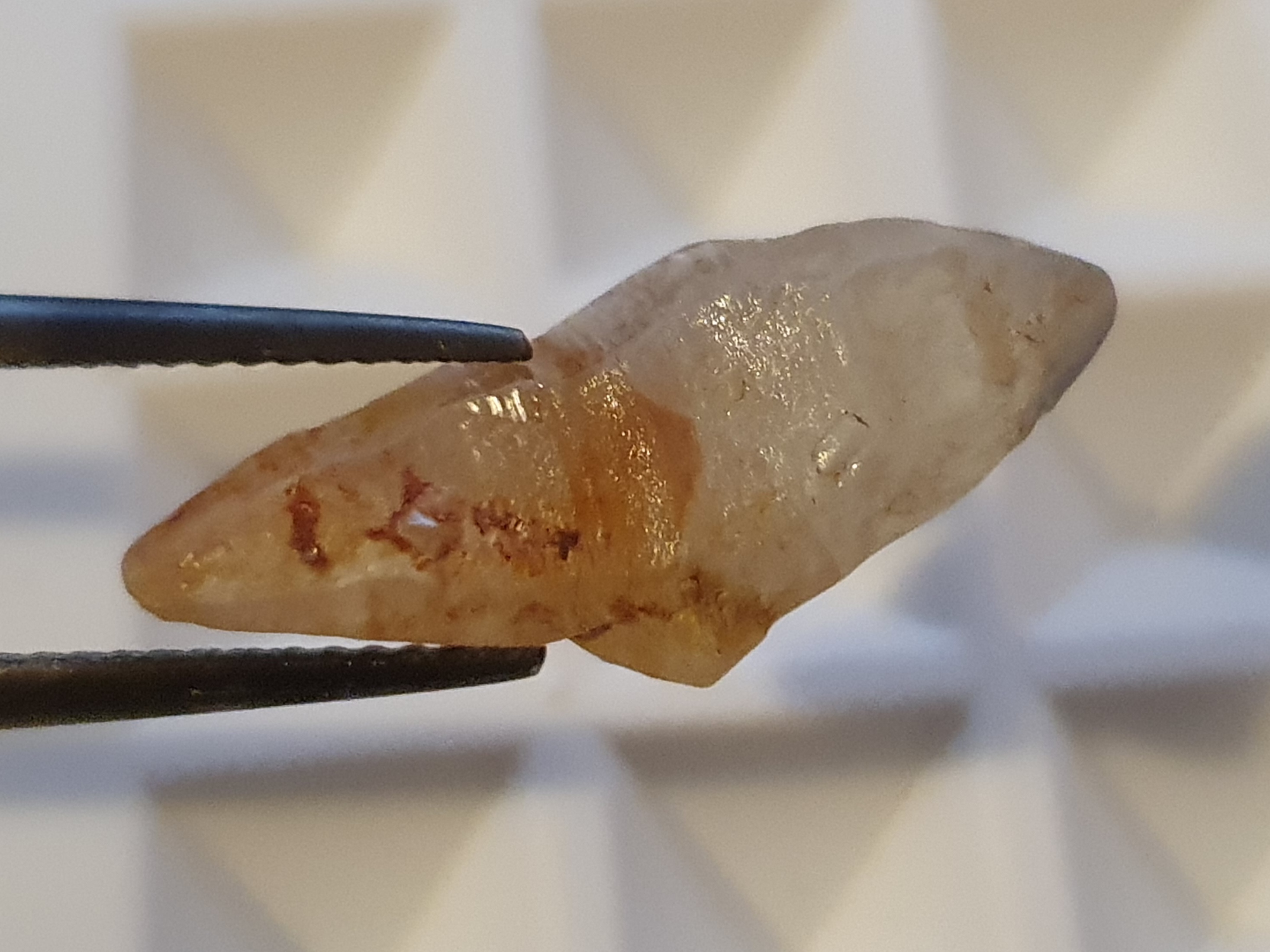 Safir kristall, Sri Lanka ( ca.9,6 ct ) - 5