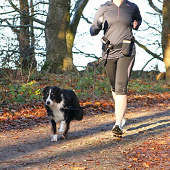 Trixie Hands-Free midjebälte 60 -120cm med Expanderkoppel 
