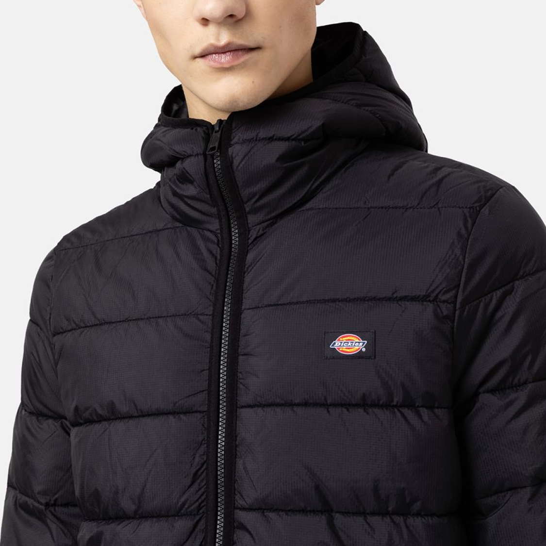 Dickies - Waldenburg Mid Layer Jacket Black - 5
