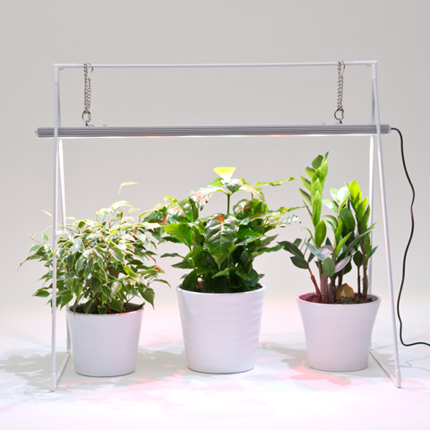 Growlight Duo 3E med stativ 20W - 3