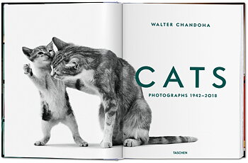 Cats – Photographs 1942–2018 - coffee table book