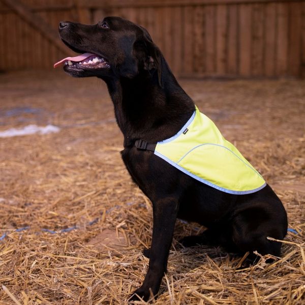 Dogman Reflekterande Väst Rex Gul XXX-Large - 2