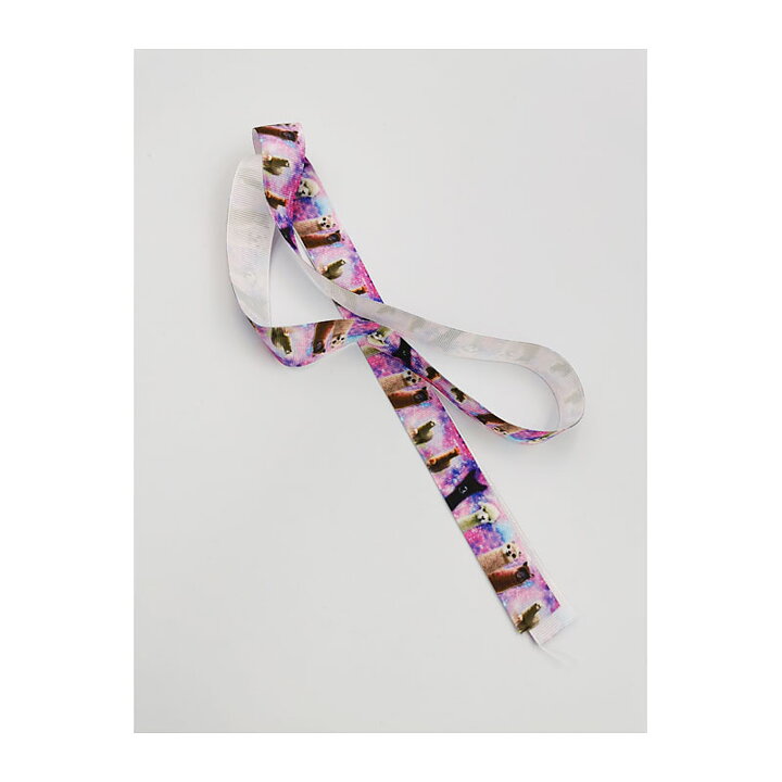 Ribbon Alpaca