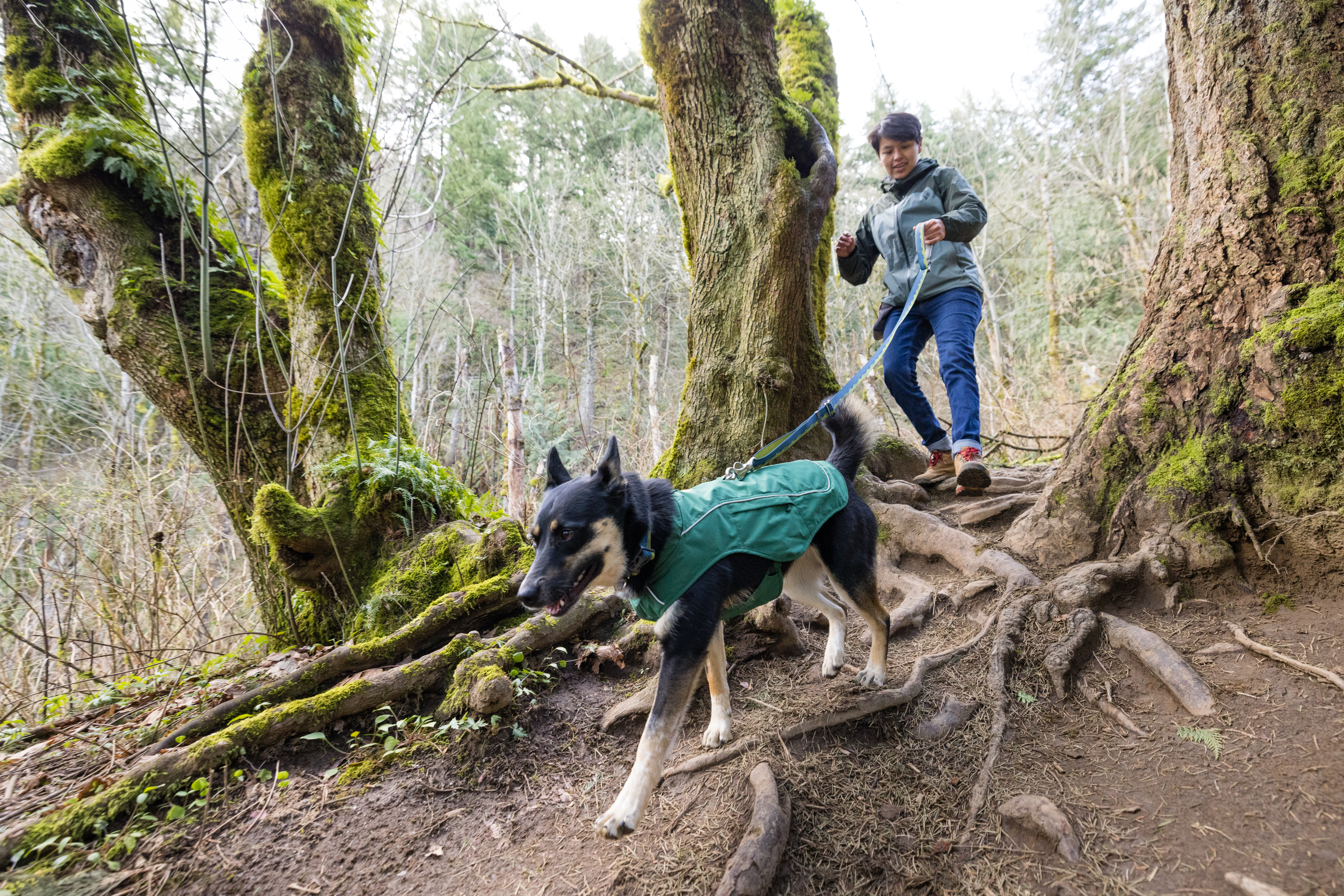 Ruffwear Overcoat Fuse Dog Jacket - Evergreen - 8