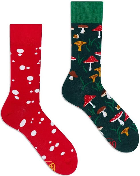 Many Mornings Meet The Shrooms