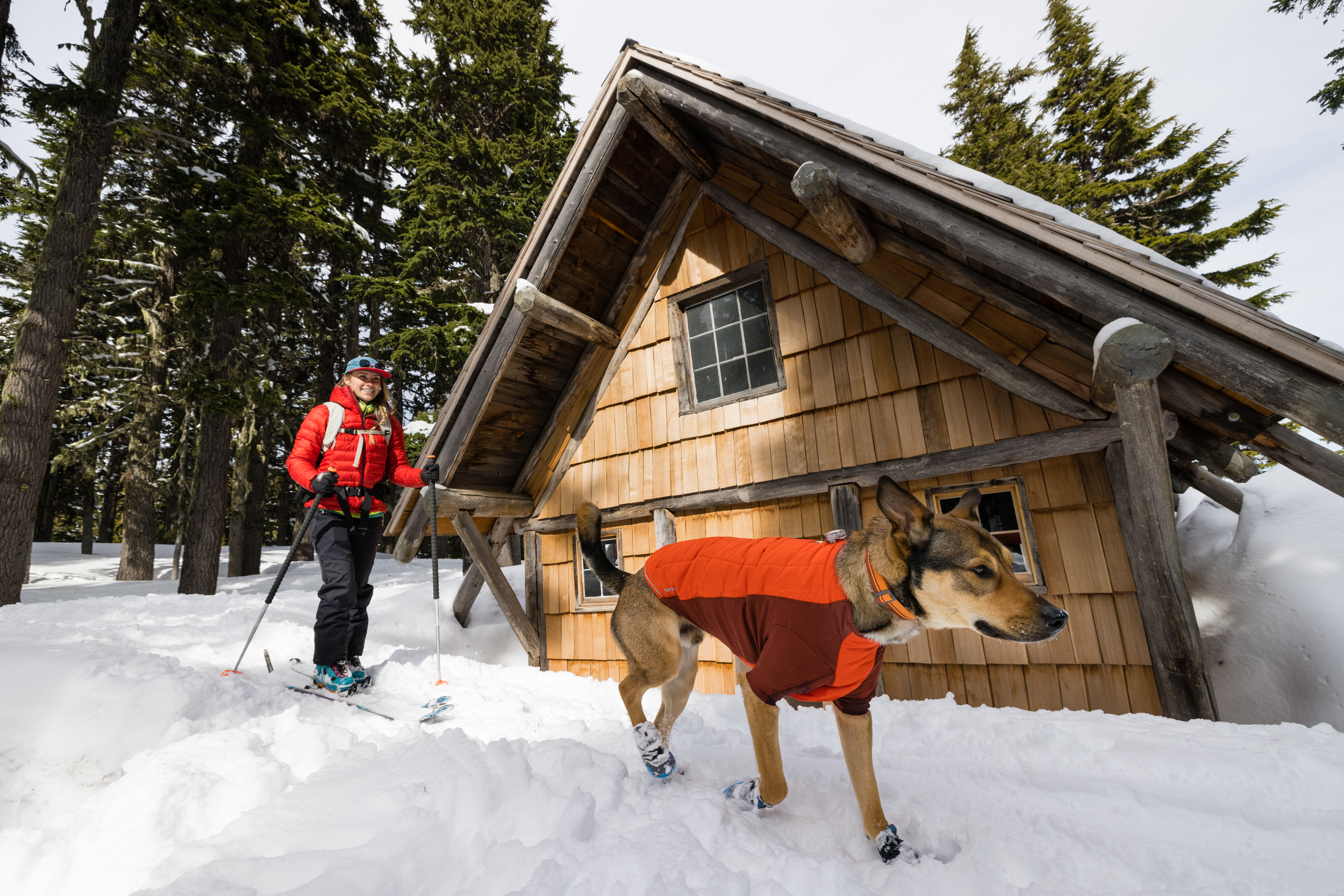 Ruffwear Powder Hound Dog Jacket Persimmon Orange PETSTER