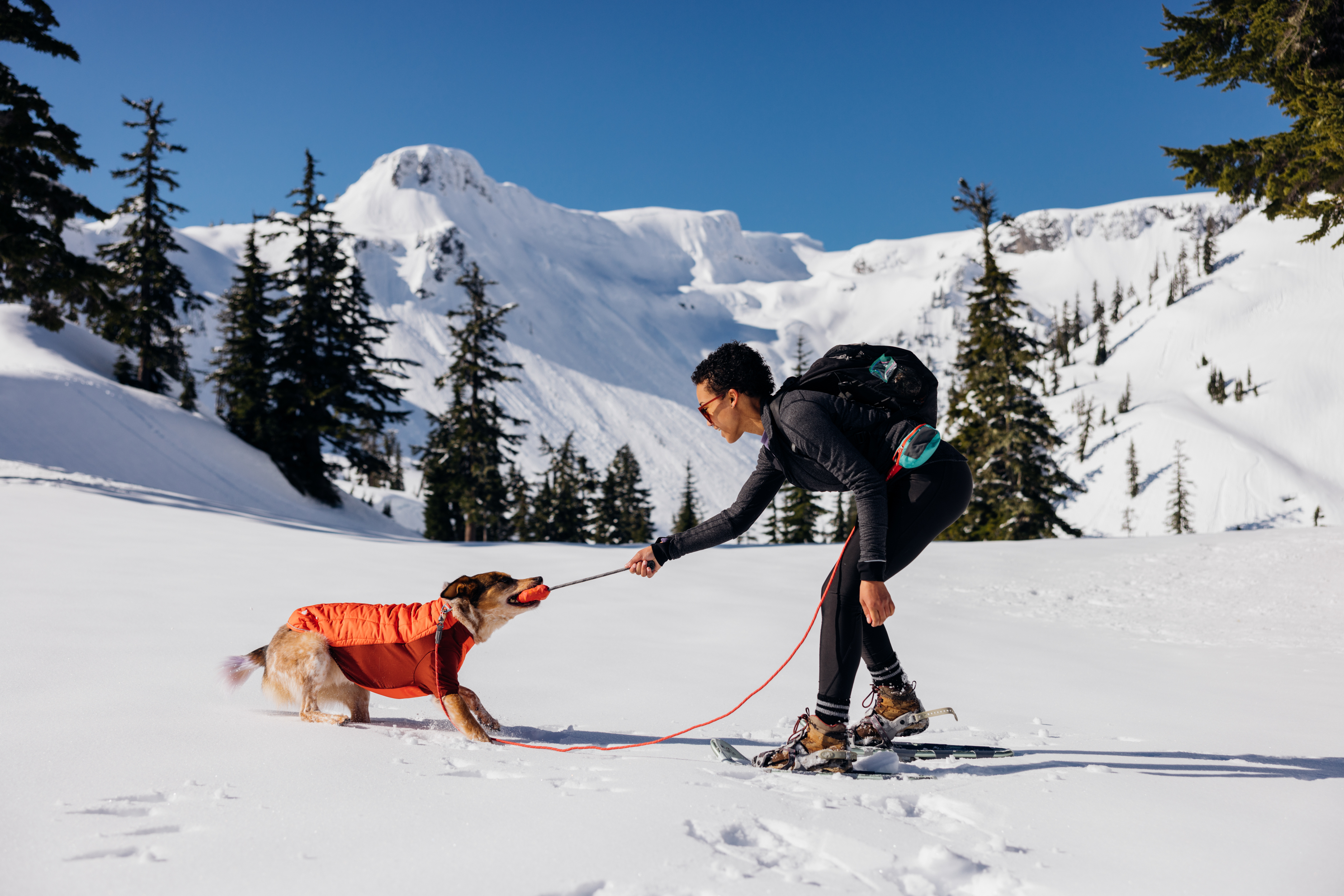 Ruffwear Powder Hound Koiran Takki - Persimmon Orange - 7