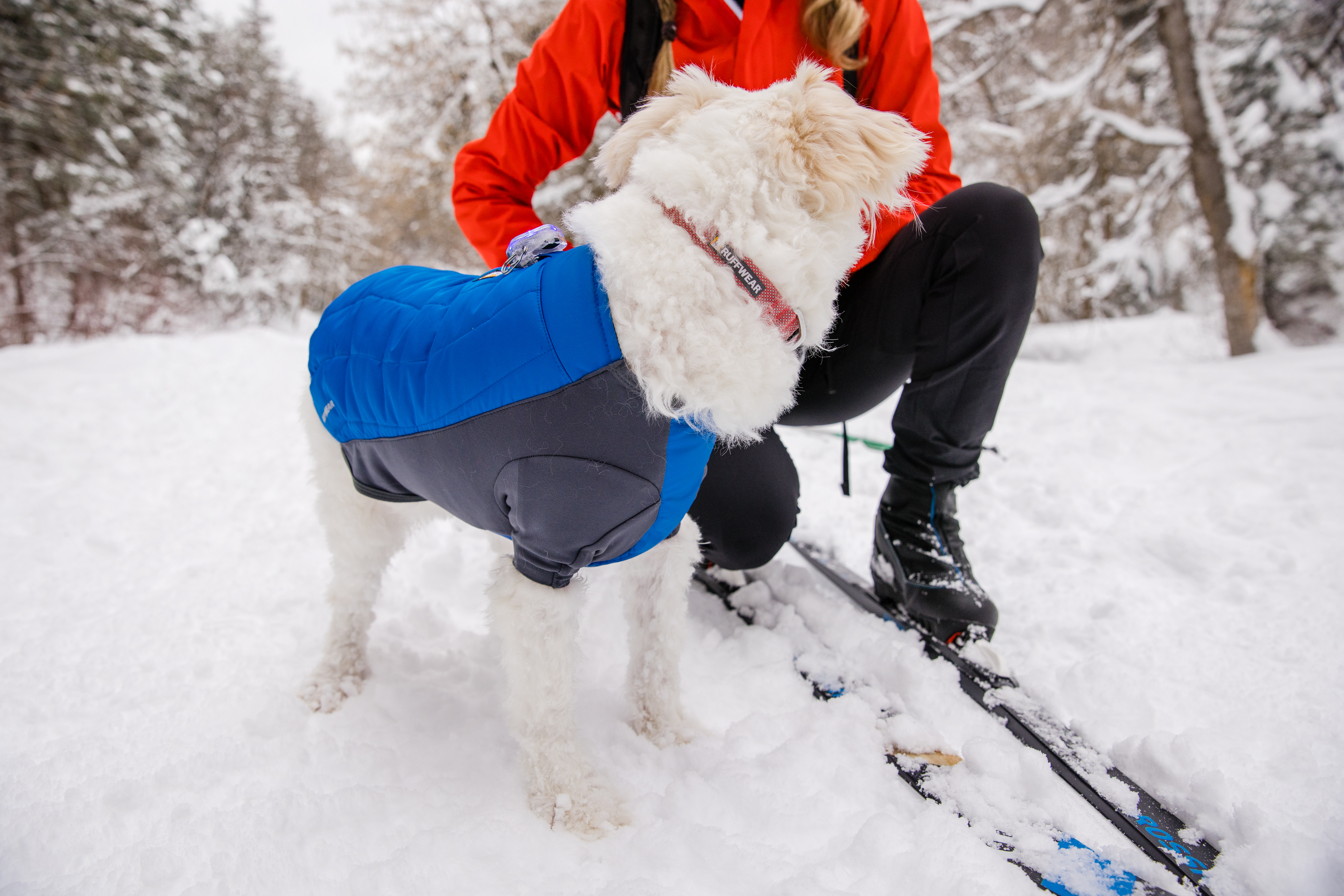 Ruffwear Powder Hound Dog Jacket Blue Pool PETSTER