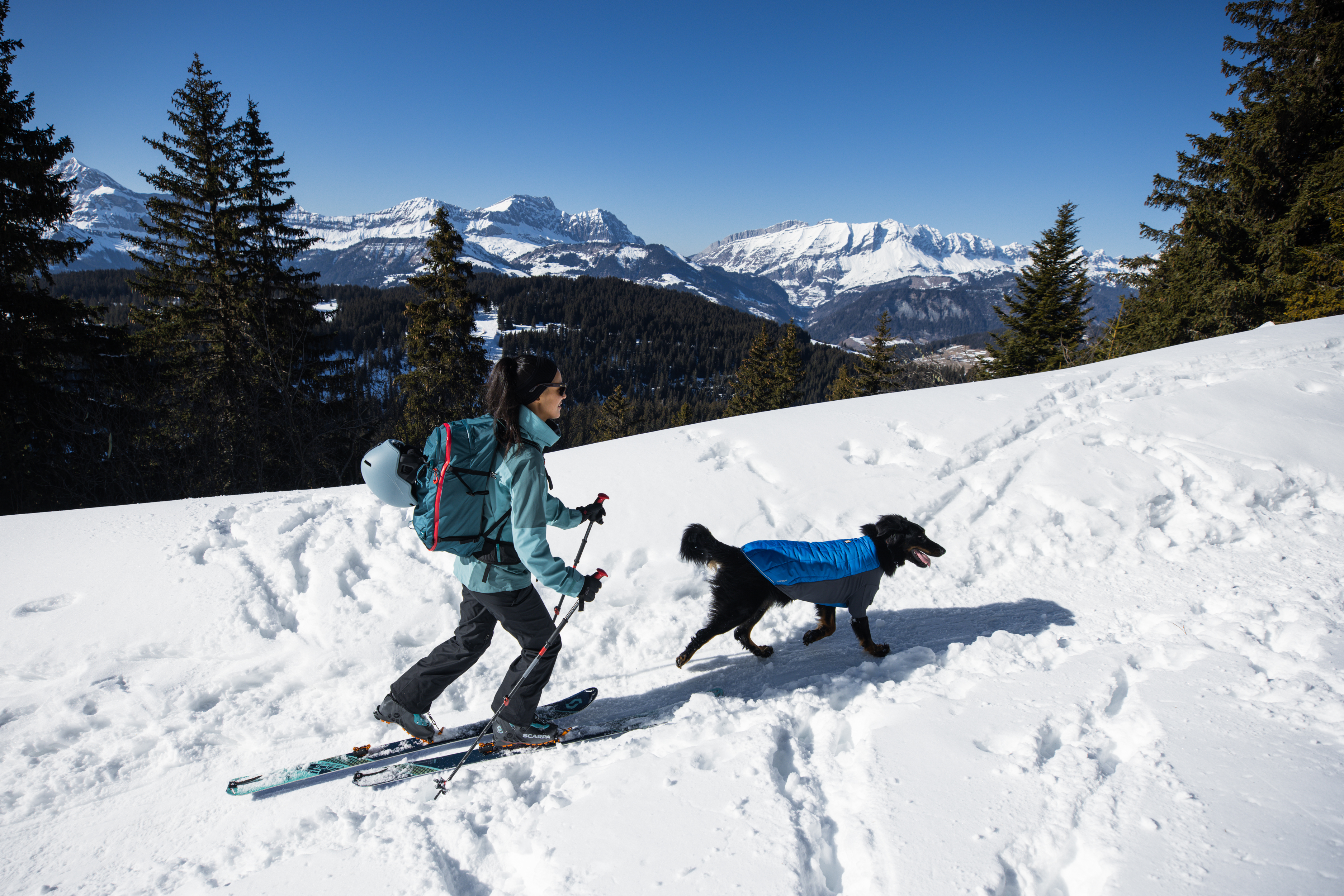 Ruffwear Powder Hound Dog Jacket - Blue Pool - 7