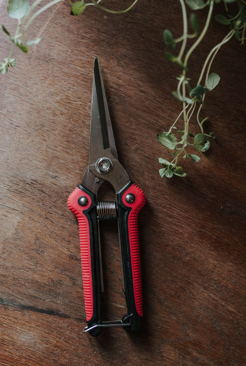 Floristsax - Blomsax