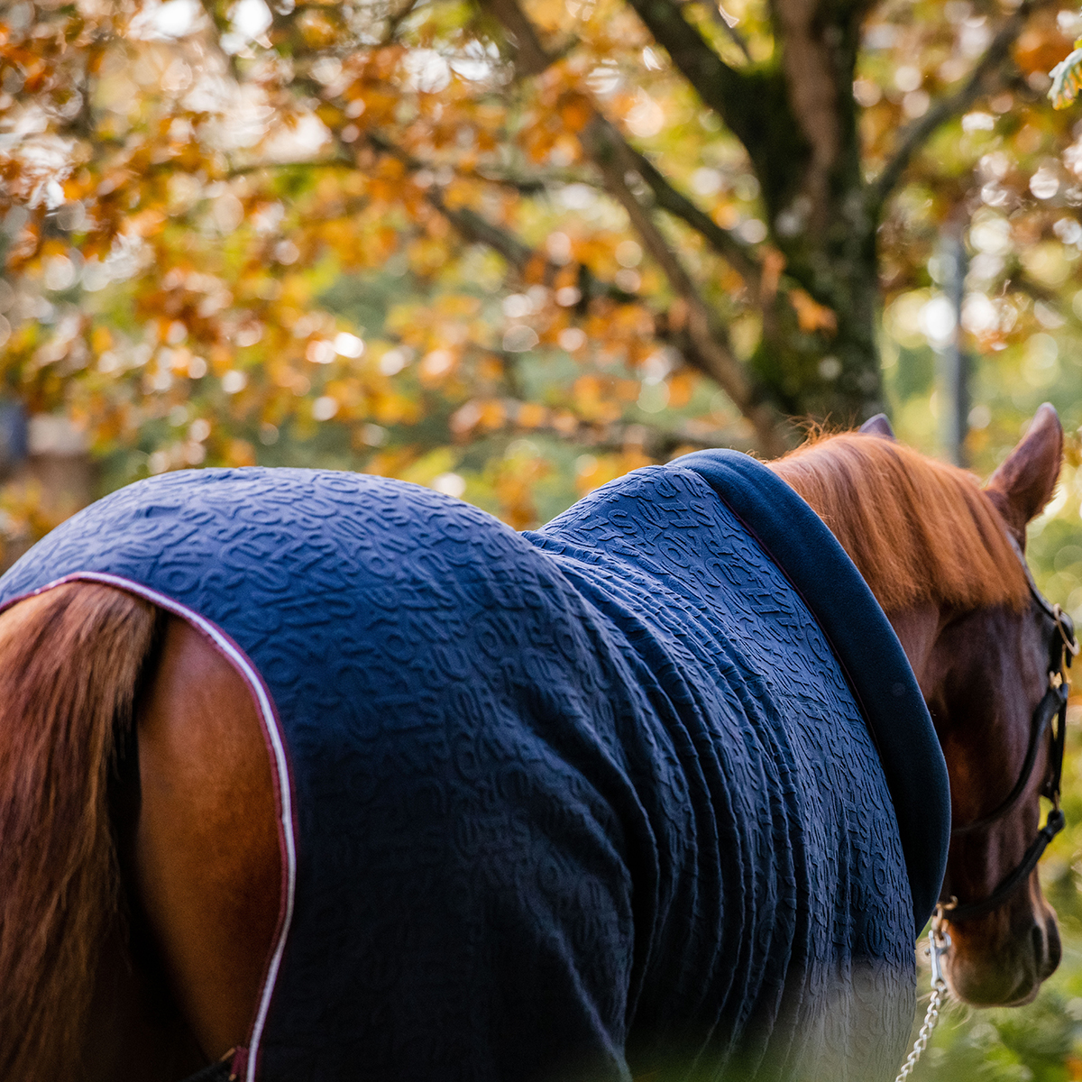 HORSEWARE EMBOSSED COSY NECK COOLER UTGÅENDE - 4