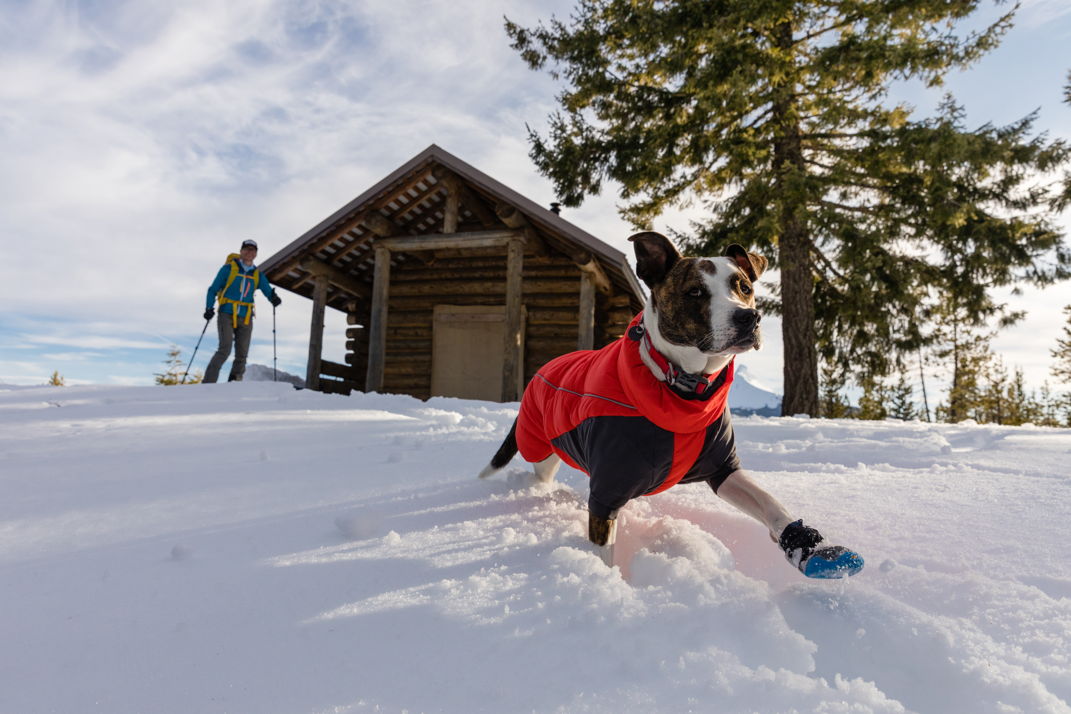 Ruffwear Furness Koiran Takki - Red Sumac - 8
