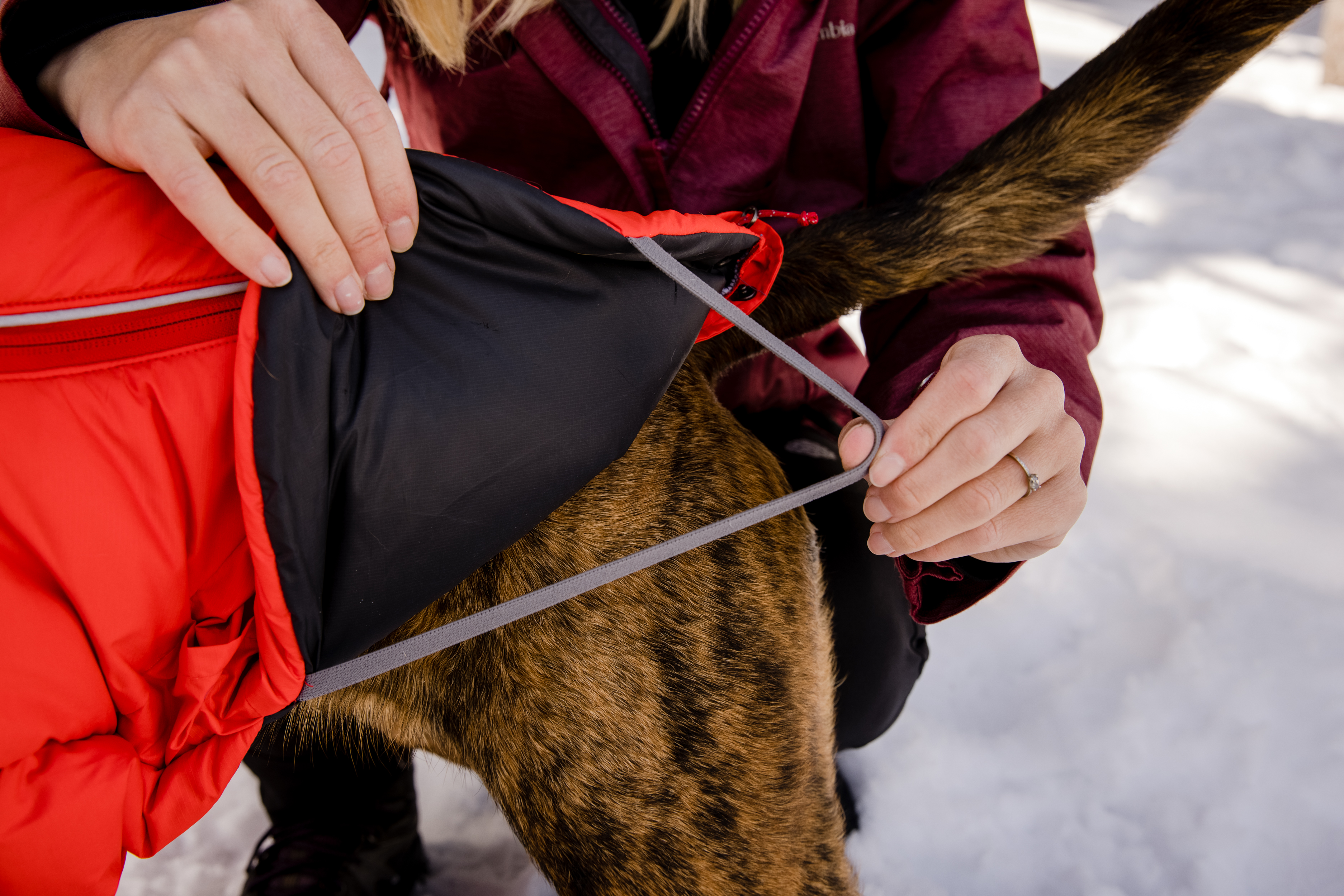 Ruffwear Furness Koiran Takki - Red Sumac - 6