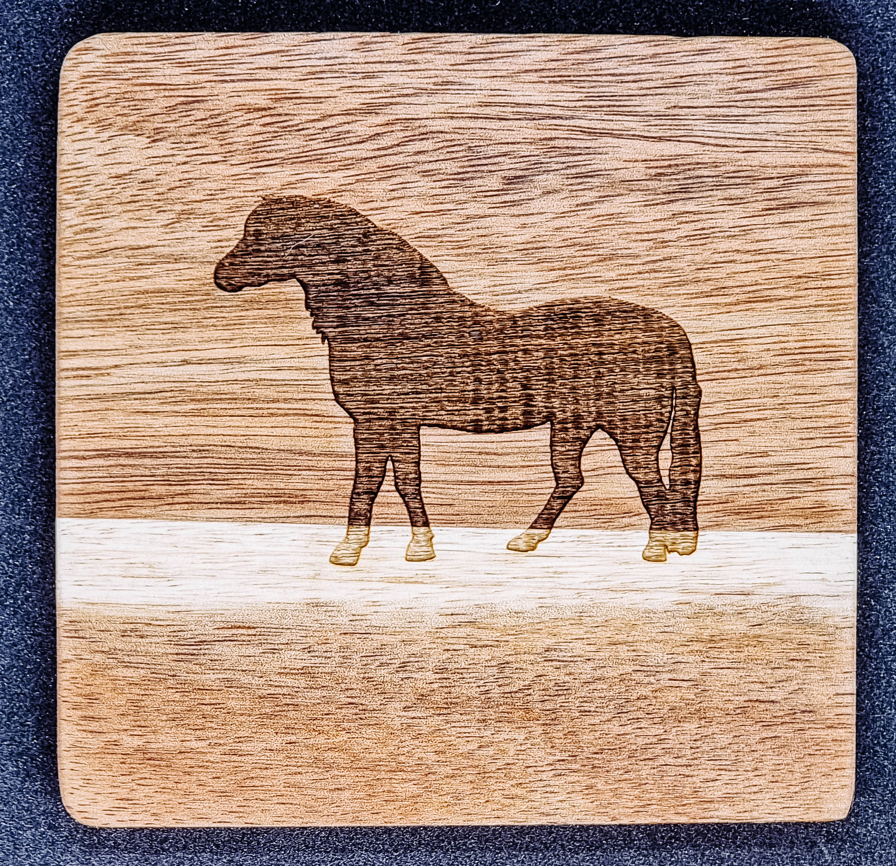Glasunderlägg med dartmoor motiv