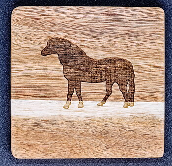 Glasunderlägg med dartmoor motiv