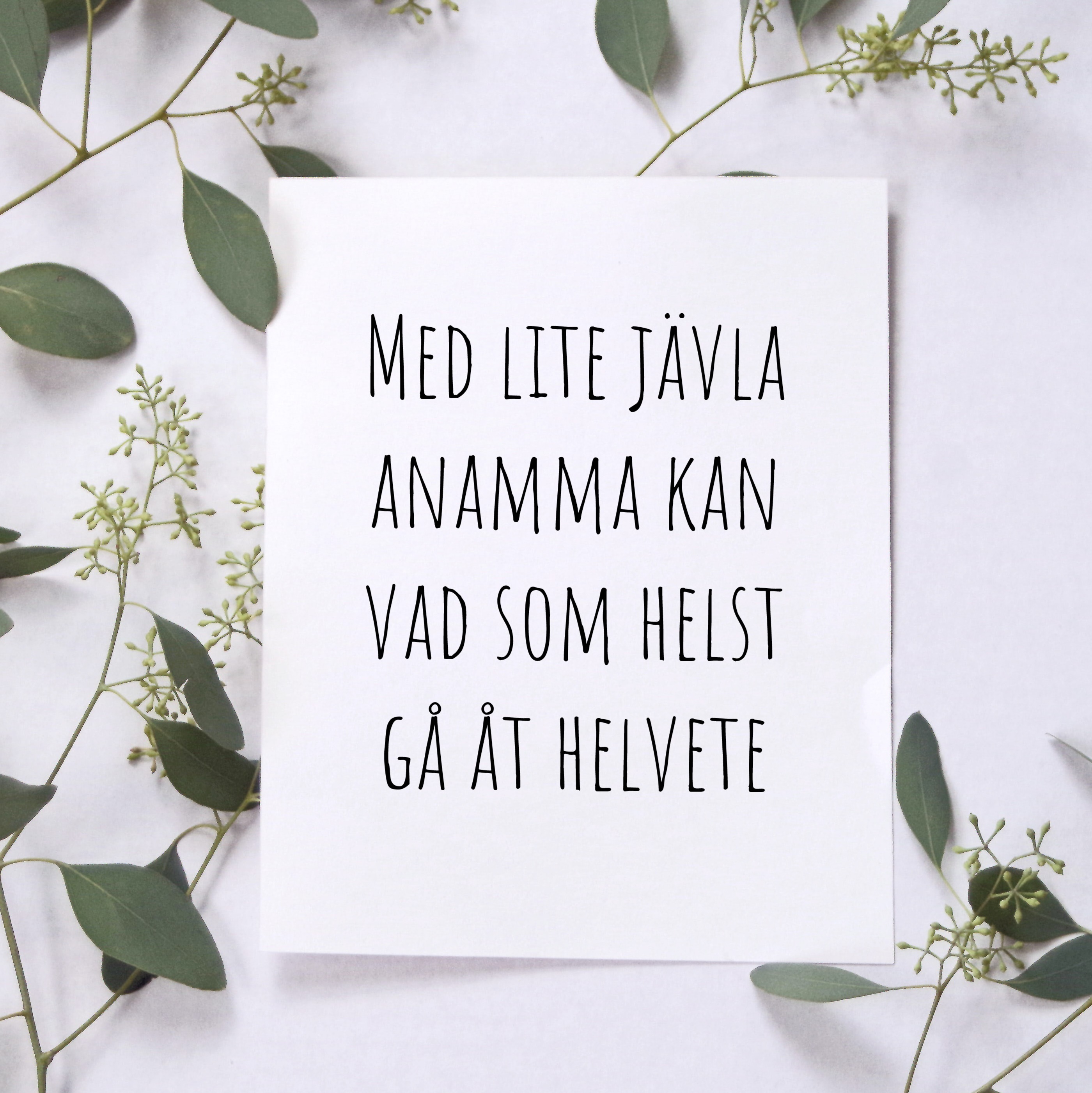 Med lite jävla anamma Poster