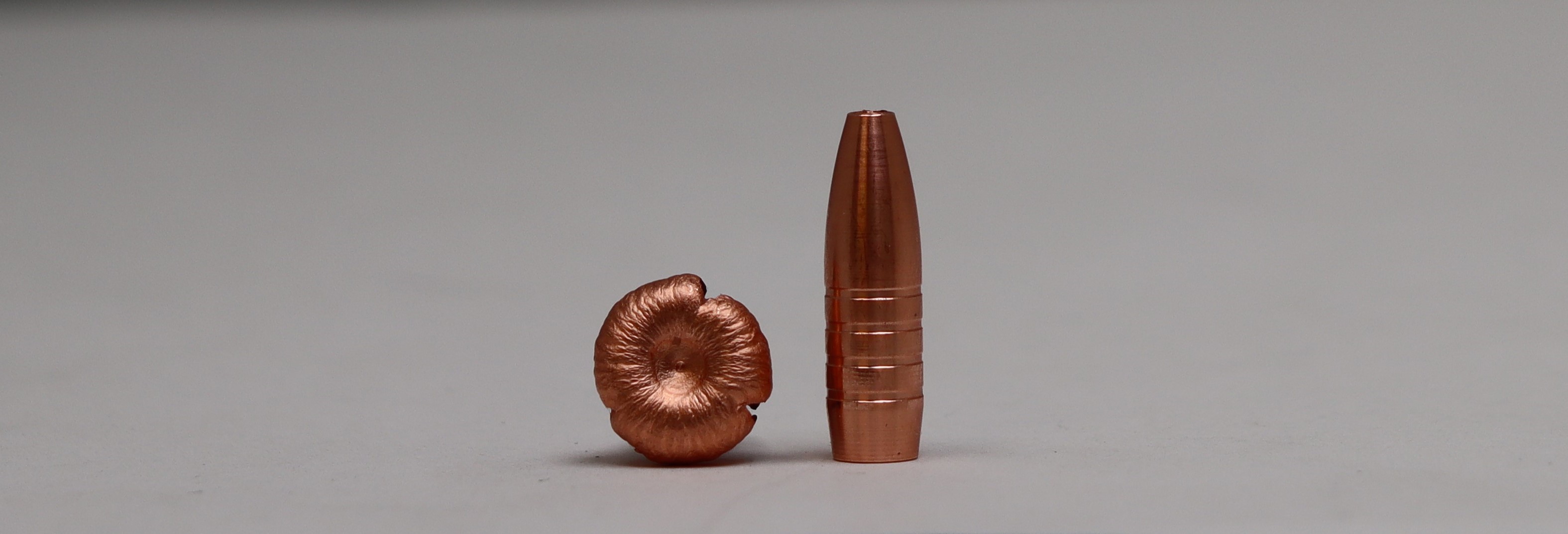 Ammunition CopperBear 5,6x52 R - 5