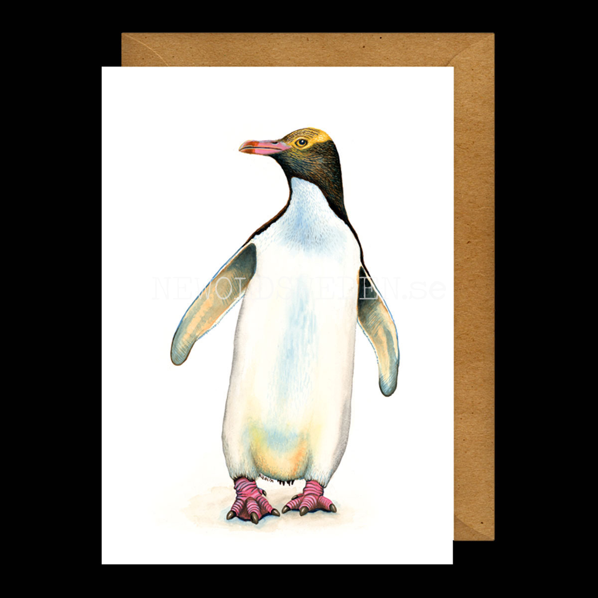 Penguin Vykort - Charlotte Nicolin - 812