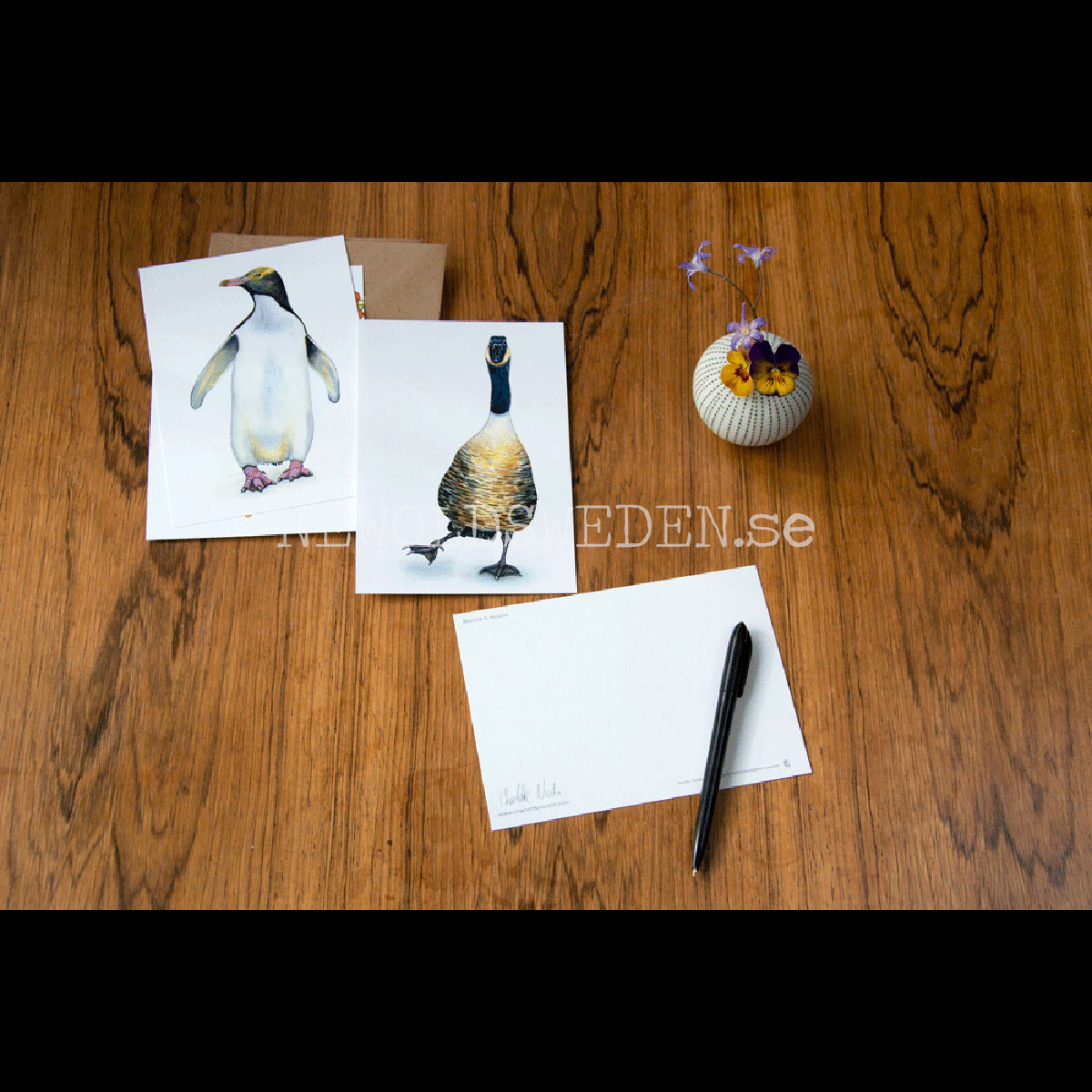 Penguin Vykort - Charlotte Nicolin - 812 - 2