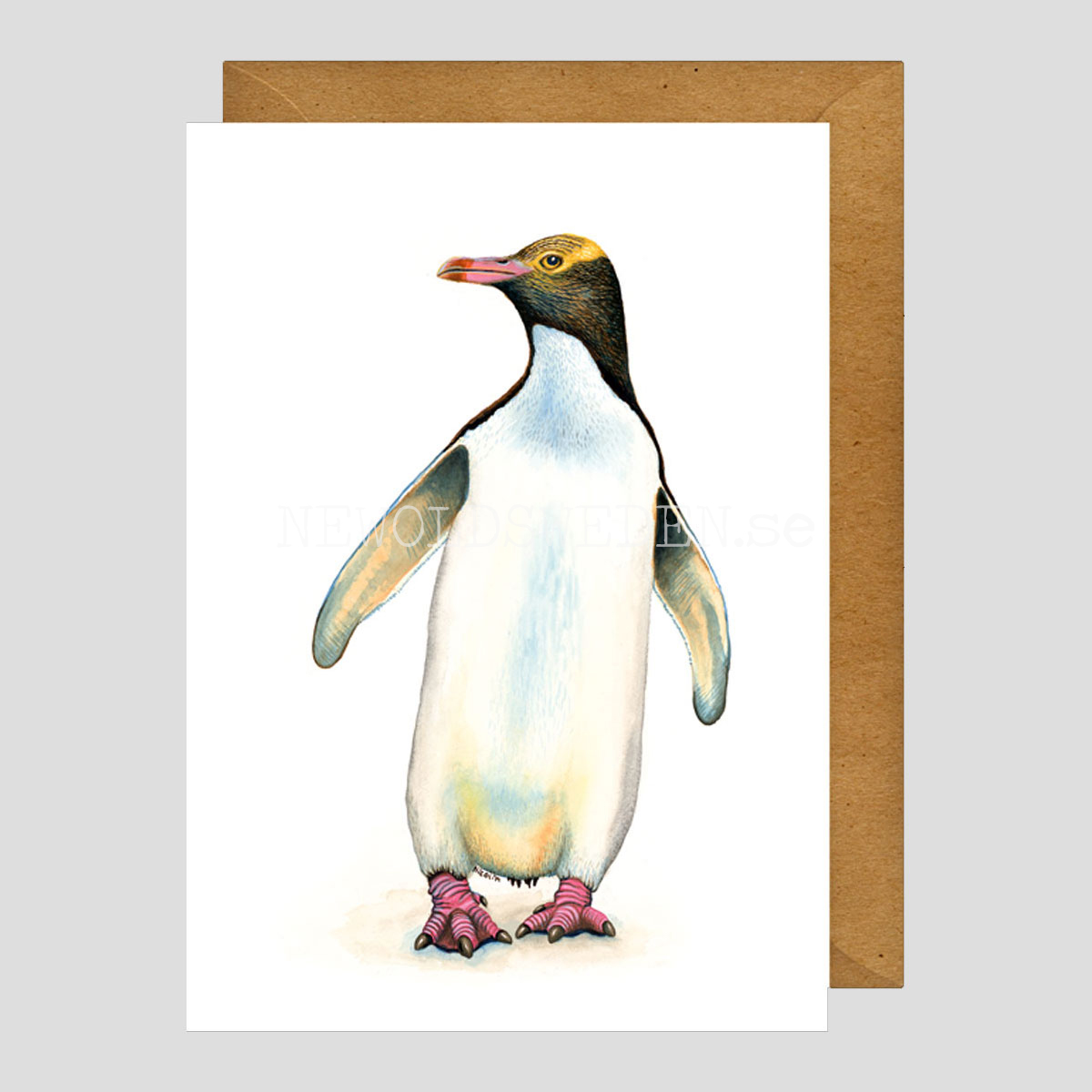 Penguin Vykort - Charlotte Nicolin - 812 - 3