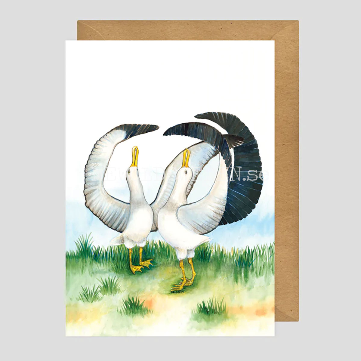 Albatross Vykort - Charlotte Nicolin - 812 - 3