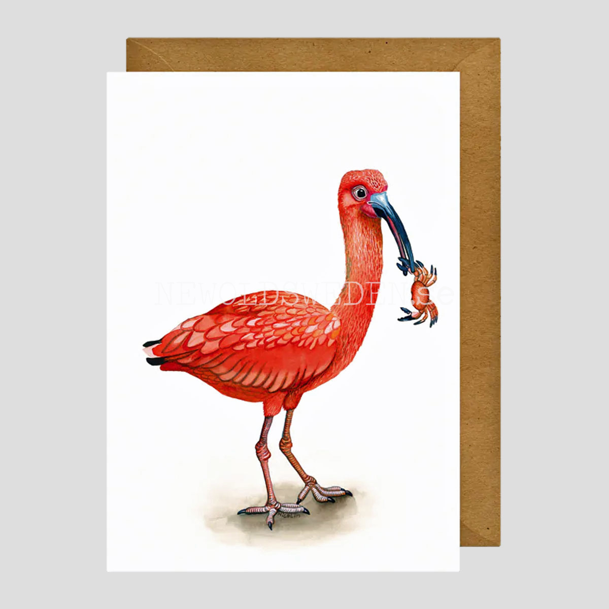 Iris Ibis Vykort - Charlotte Nicolin - 812 - 3