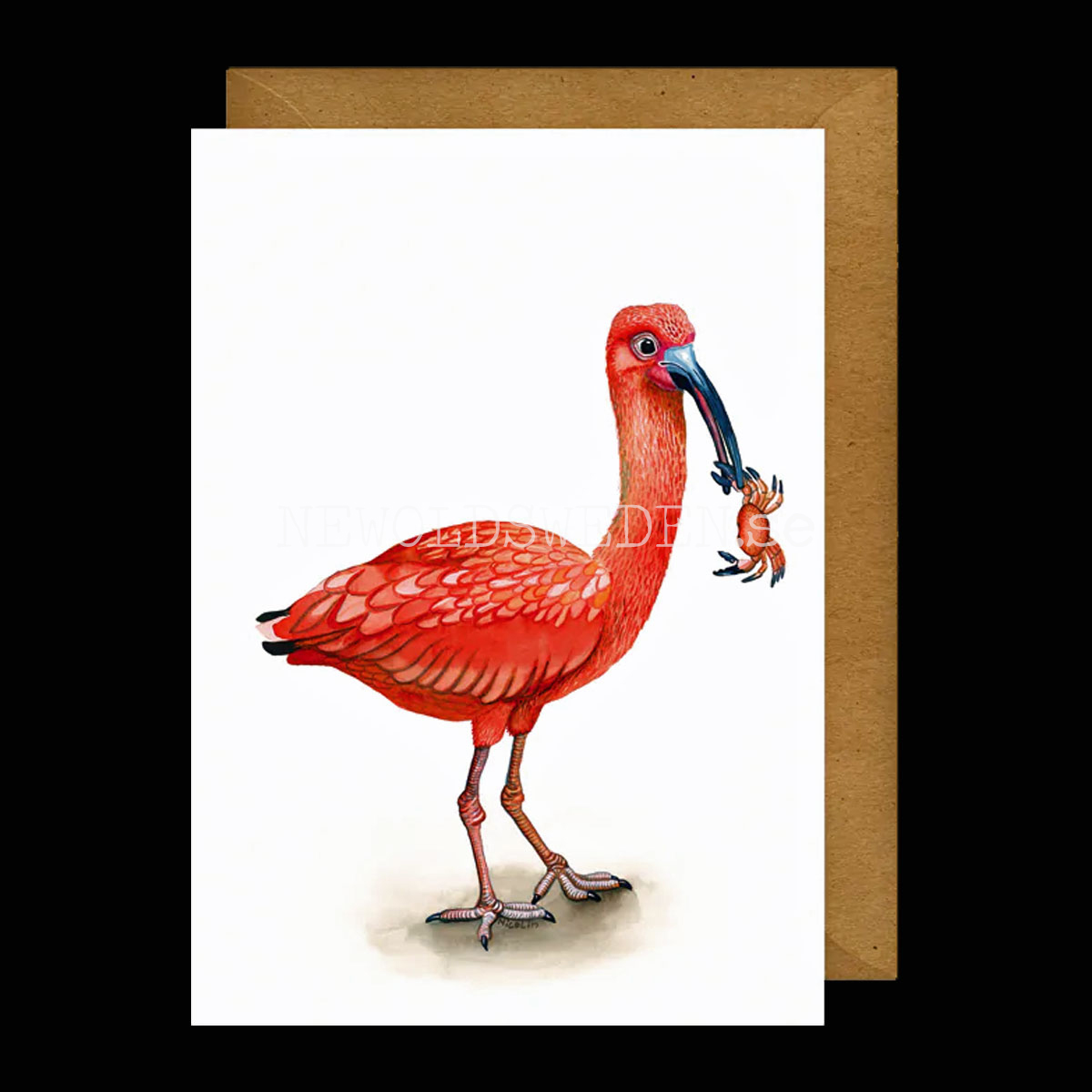 Iris Ibis Vykort - Charlotte Nicolin - 812