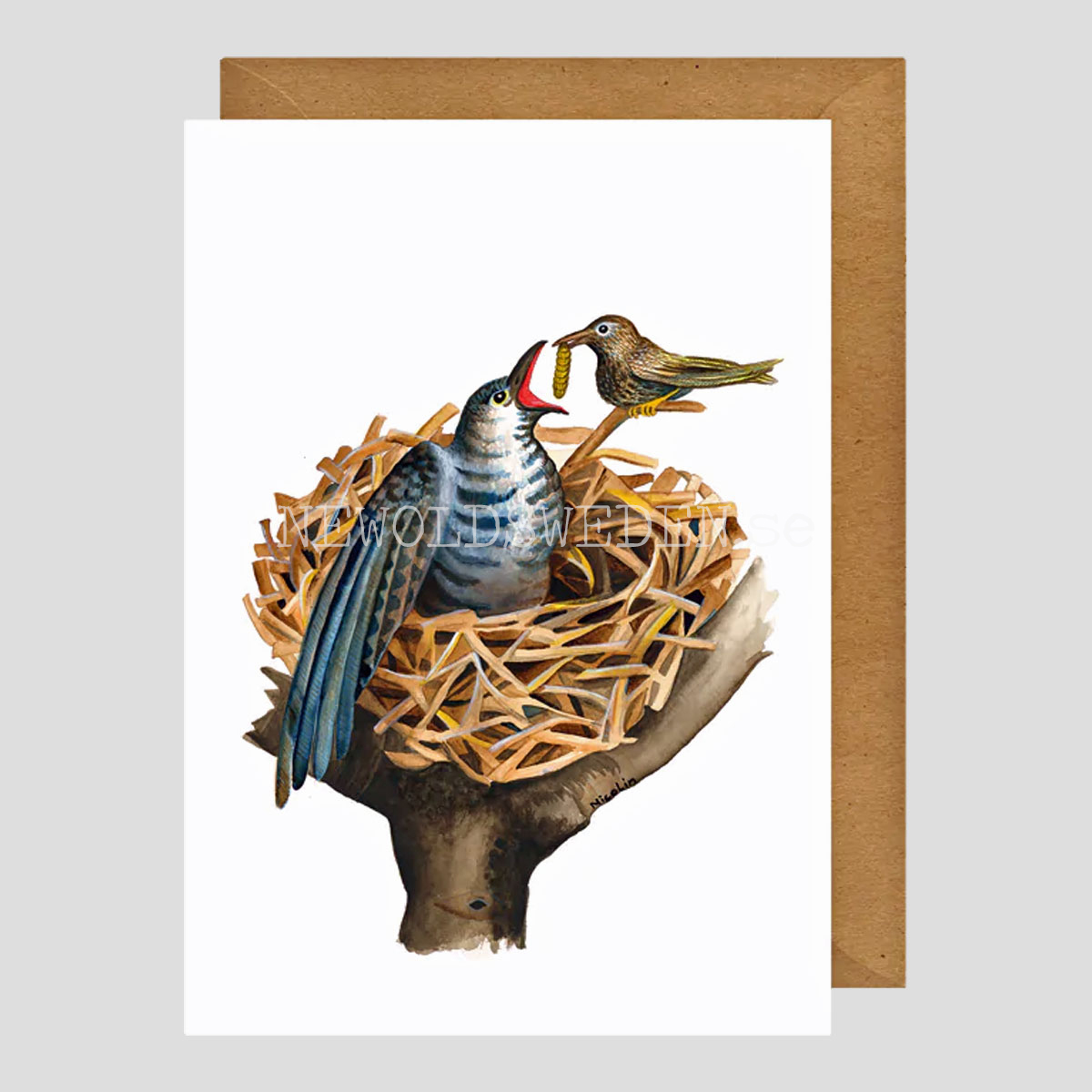Cuckoo Vykort - Charlotte Nicolin - 812 - 3