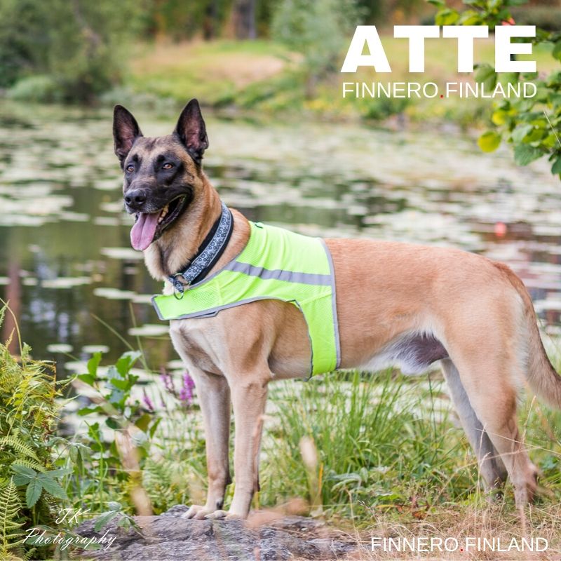 Atte Attention Vest - Reflexväst för hund (Rosa, Orange eller Gul) - 9
