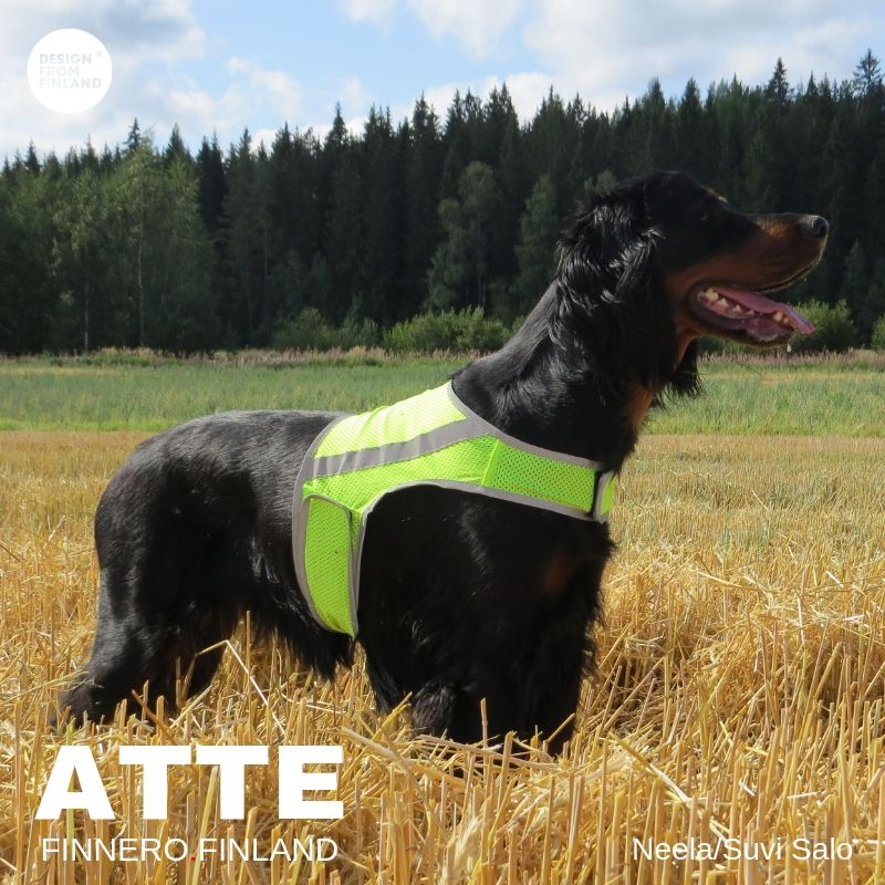Atte Attention Vest - Reflexväst för hund (Rosa, Orange eller Gul) - 10