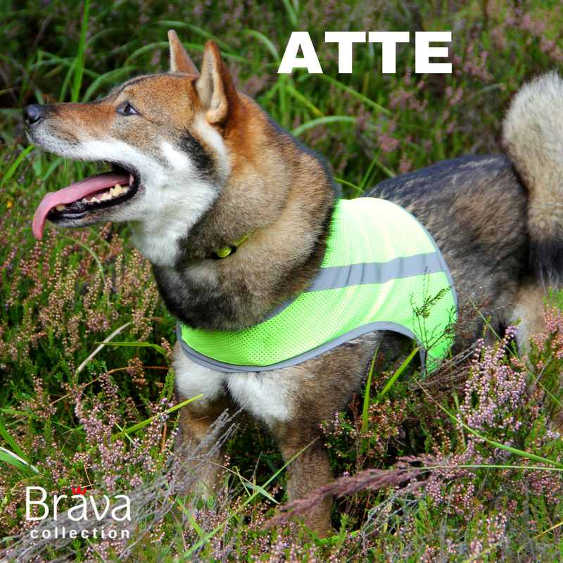 Atte Attention Vest - Reflexväst för hund (Rosa, Orange eller Gul) - 6