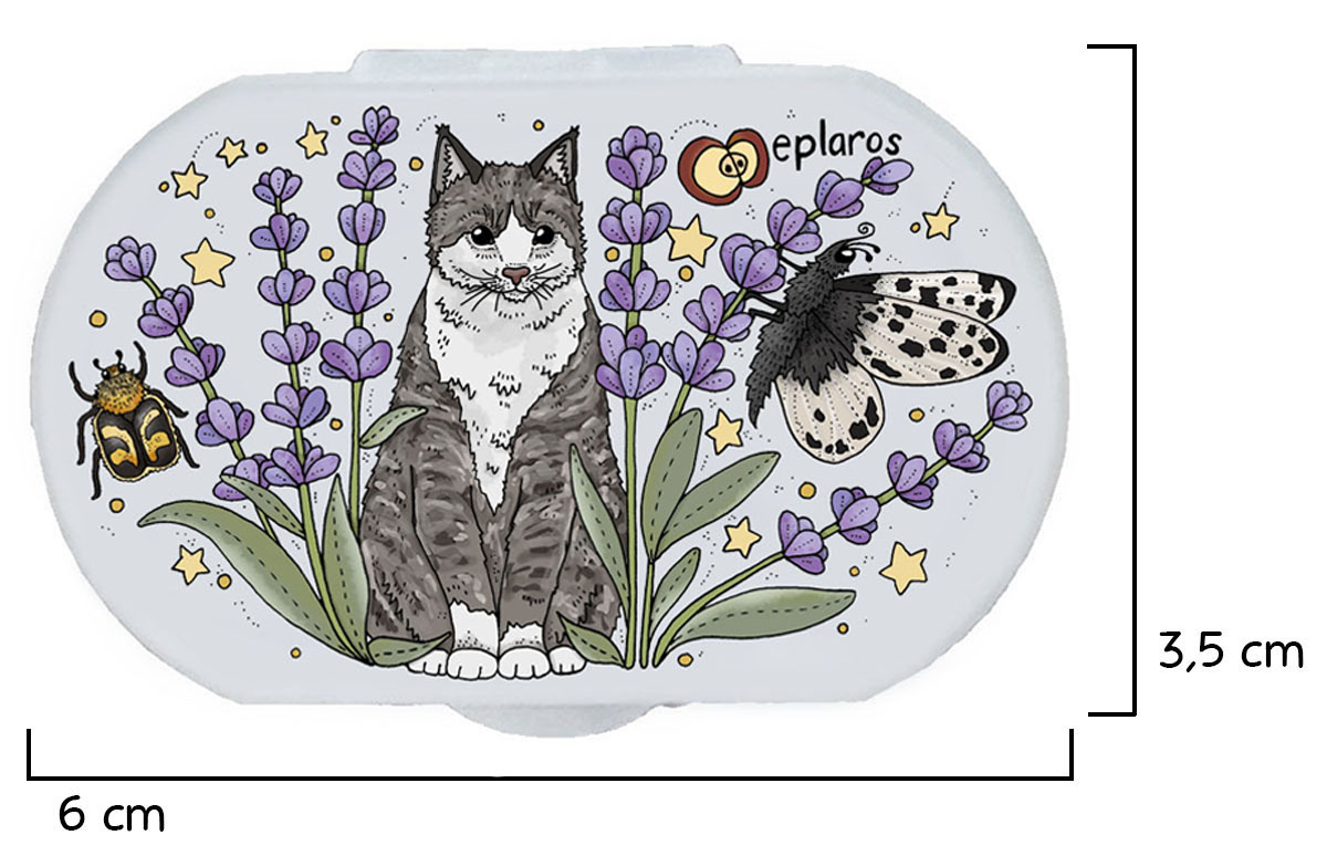 Liten pillerburk - Lavendelkatt - 2