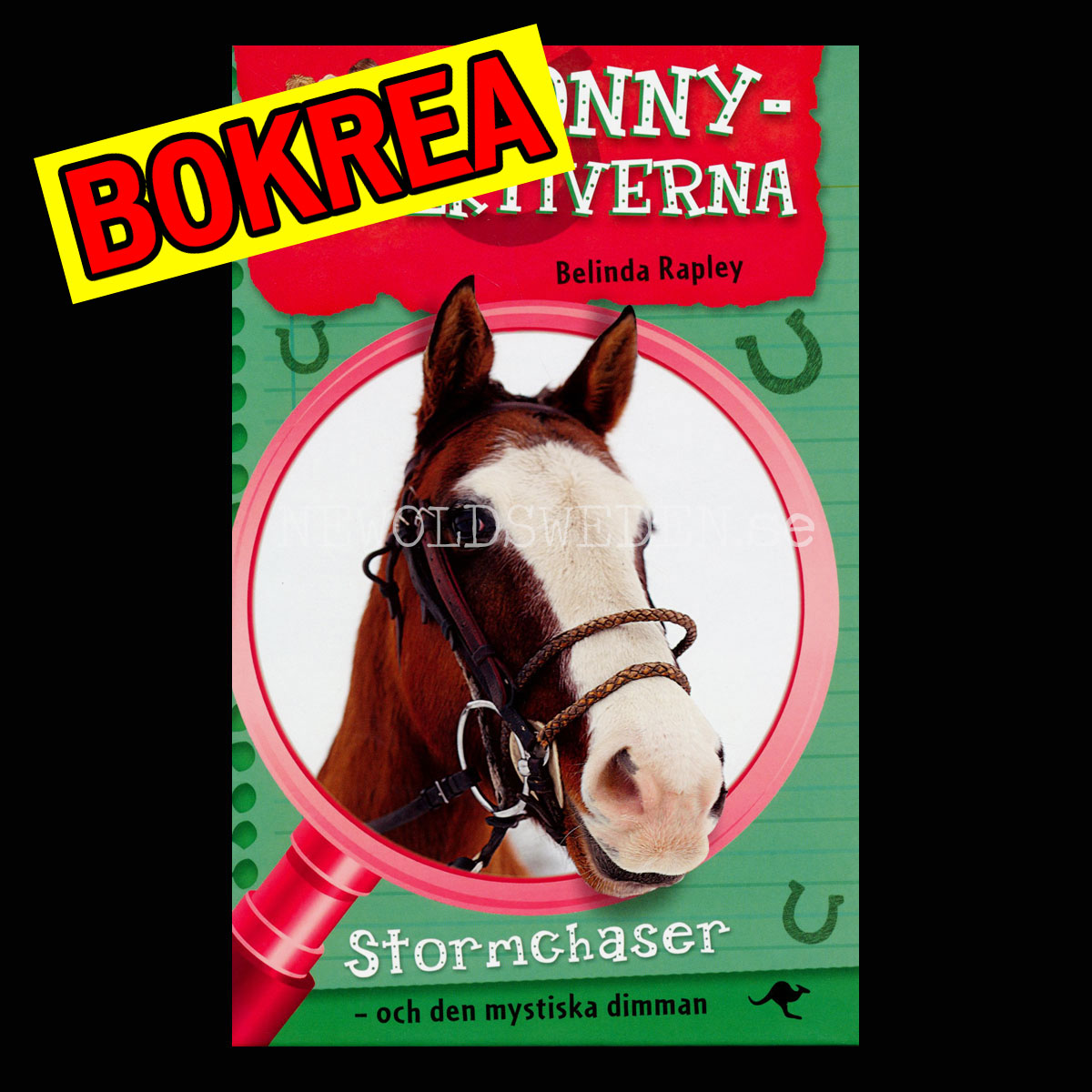 Stormchaser - och den mystiska dimman - PONNY-DETEKTIVERNA - H08