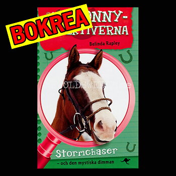 Stormchaser - och den mystiska dimman - PONNY-DETEKTIVERNA - H08