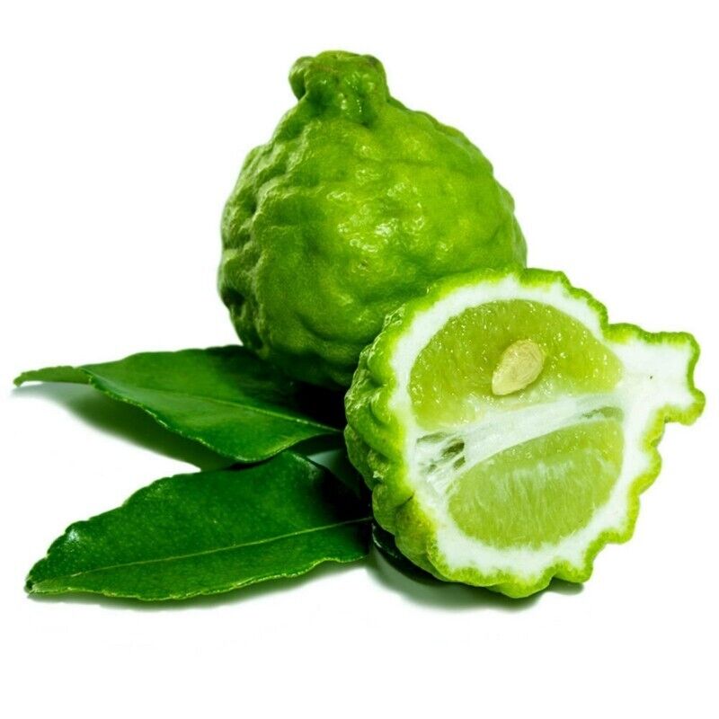 Thailändsk Kaffir Lime - 2