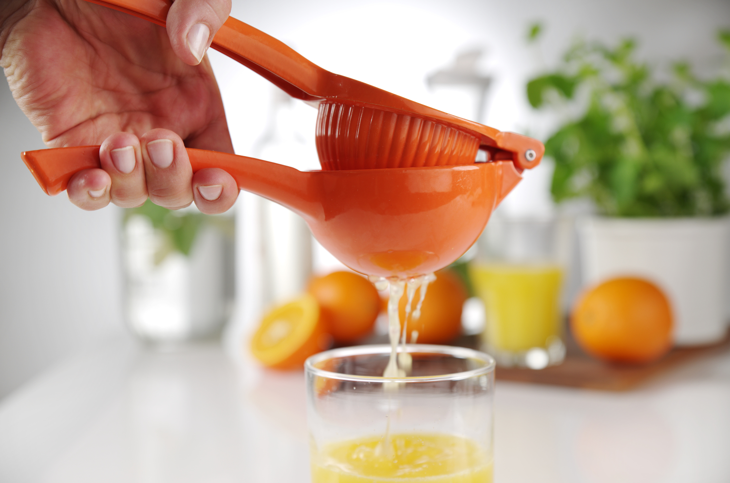 Citrus press Orange for Orange - 2