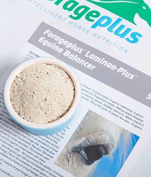 FORAGEPLUS LAMINAE PLUS BALANCER