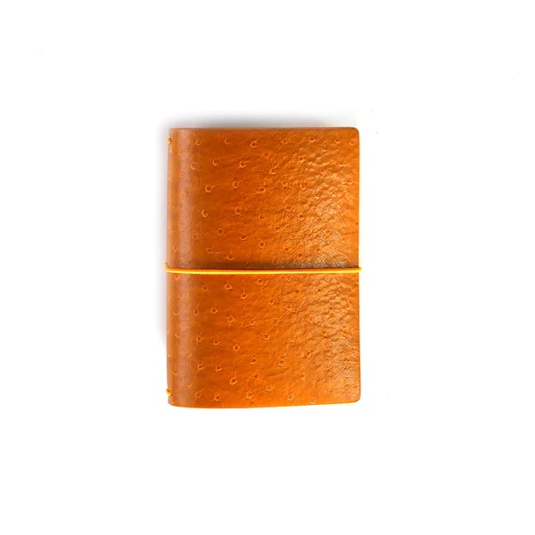 Elizabeth  - TN Ochre